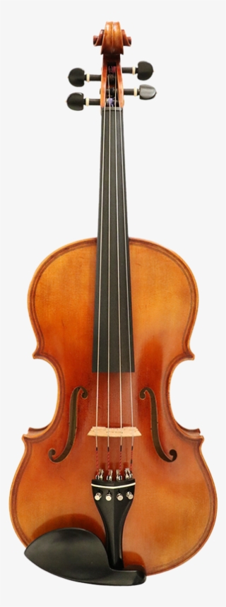 Scott Cao Viola Gasparo Da Salo Model Including The #7428988