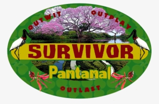 Pantanal #7429265