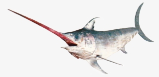 Pez Espada Png #7430229