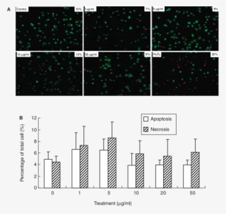Mouse Primary Peritoneal Macrophage Viability Change #7432866