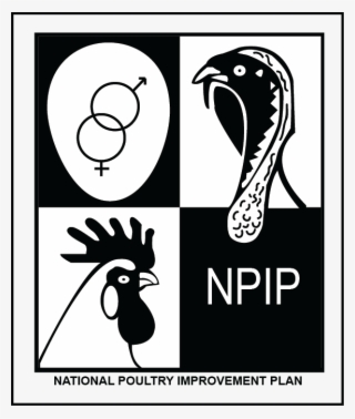 Npip Highdef #7434959