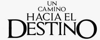 Un Camino Hacia El Destino #7435522