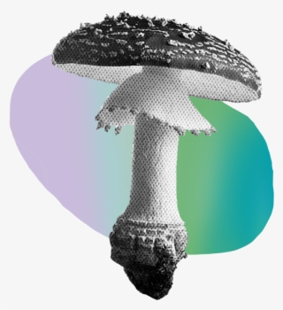 Shroom #7437867