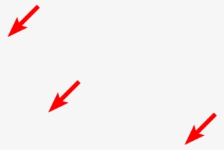 Ribosomes On Rer #7438593