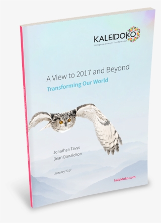 A View To 2017 And Beyond Cover #7439227