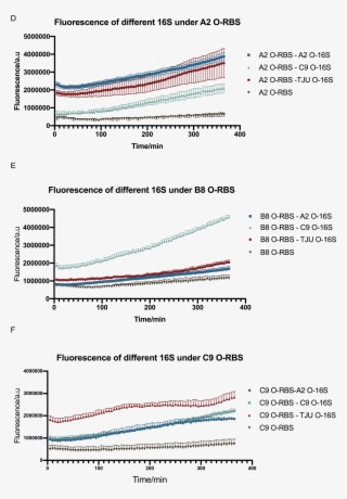 10 Characterisation Of Orthogonal Ribosome System Interaction #7439273