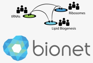 How Can The Biokernel Be Collaboratively Developed #7439322