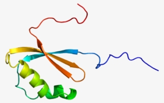 Ribosomes Png #7439542