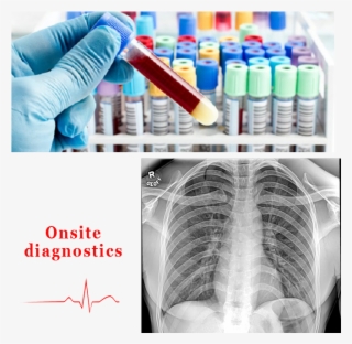 Onsite Services #7439602
