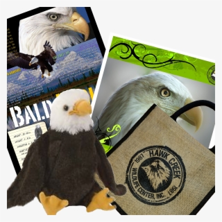 Eagle Tote #7439893