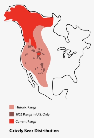 The Yellowstone To Yukon Region, Alaska And Portions #7441152