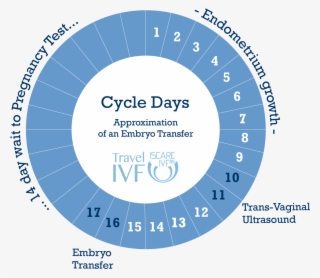 Embryo Donation At Iscare #7442131