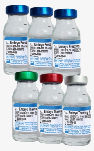 Embryo Freezing & Thawing #7442895