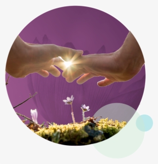 Consult Experts With More Than 30 Years Of Experience #7444044