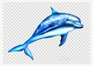 Dauphin Png Clipart Dolphin Clip Art #7444242