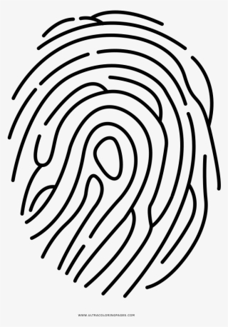 Fingerprint Coloring Page Ultra Pages #7449415 Fingerprint Coloring Page Ultra Pages #7449415