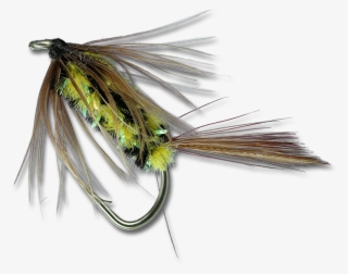 Brindle Bug - #7449591