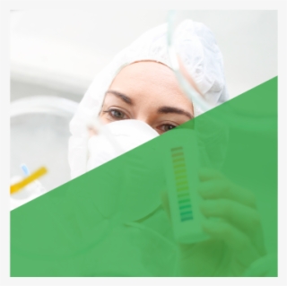 Chemical Plant Chemical Plant Chemist In Lab Polymers #7449984