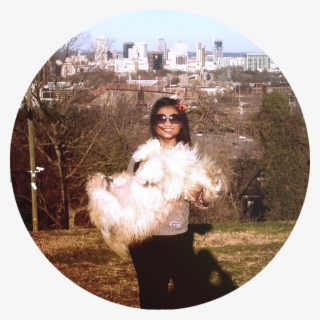 Happy Pooch - #7451661