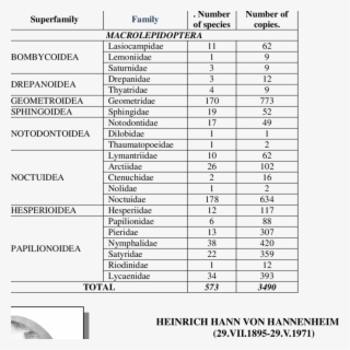 Lepidoptera A Collection Of Drviktor Weindel #7451818