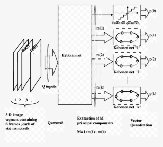 Architecture Of The Neural System For Compression Of #7453815 Architecture Of The Neural System For Compression Of #7453815