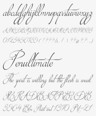 Brotherhood Script #7454600