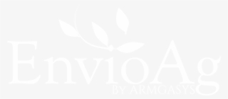Download White Version 1800×822 Pixels Png #7454740