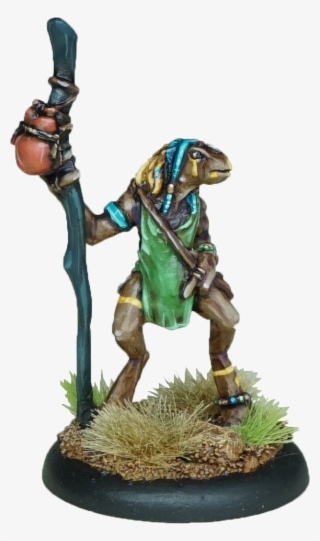 Casanii Shaman #7455719