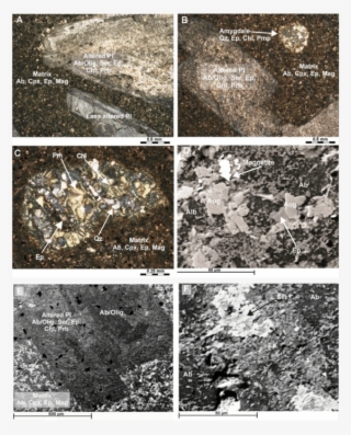 Photomicrographs And Back-scattered Electron Images #7456465