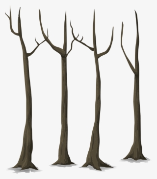 Forest, Trees, Dead, Autumn, Forest, Plants #7456467 Forest, Trees, Dead, Autumn, Forest, Plants #7456467