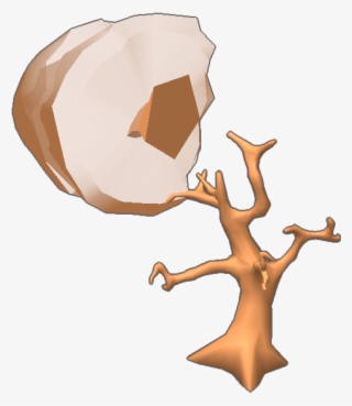 Place In Proper Biome To Add As A Physical Feature #7456974