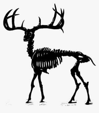 Stag Png #7456975