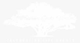 Antebellum Oaks Venue #7457497