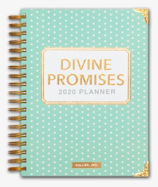 Why It's Divine #7457550