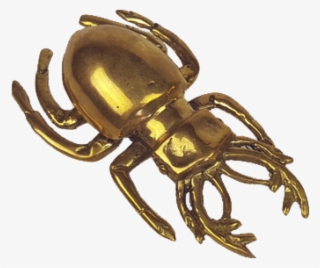 Gold Beetle #7460753