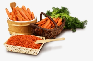 Dried Carrot #7461902