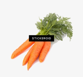 Carrot #7462048