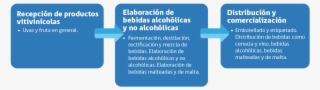 Ciclo Productivo Segmento Bebidas #7462109 Ciclo Productivo Segmento Bebidas #7462109