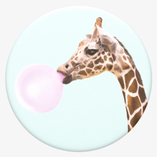 Bubblegum Png #7463359