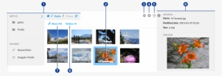 Filebrowser #7463485