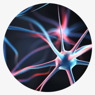 An Artistic Image Of Nerves In The Human Body #7466491