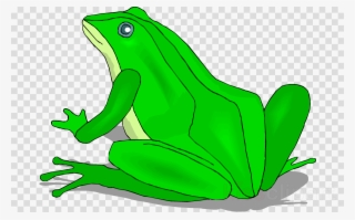 Frog Clipart True Frog Toad #7466492