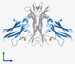 <div Class='caption-body'>pdb Entry 1www Contains 2 #7467538