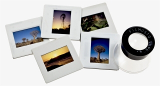 Guide To Scanning Your Slides Larsen Digital #7469149