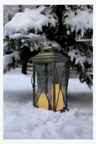 Lantern Twin #7469854