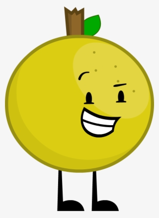 Grape Fruit Oi 5 Rig #7471109