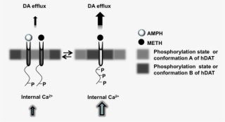 Fig 4 Website #7472799