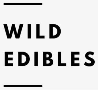Botanical Folk Wild Food Recipes #7474527