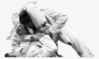 Jiu Jitsu #7477175