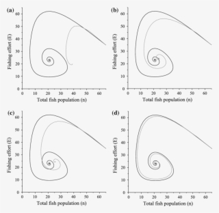 Orbit Of Complete And Aggregated (black) Models In #7482685